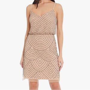 ADRIANNA PAPELL Art Deco champagne pink dress with beaded mesh overlay size 2